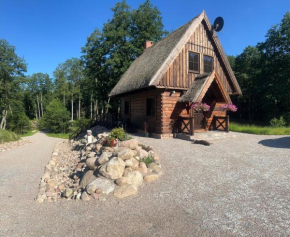 Młyn Glaznoty in Dabrowno